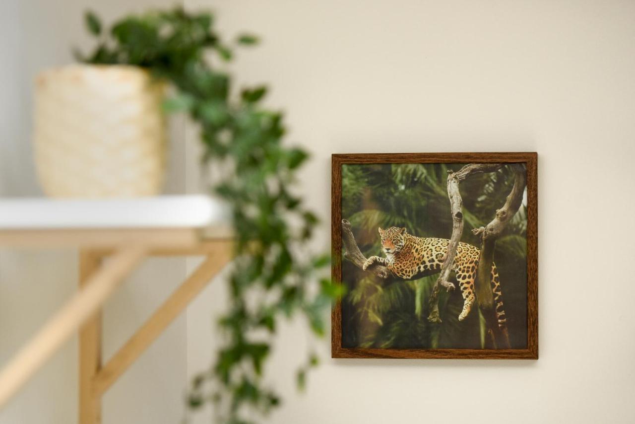 Plants Attic Studio - Best Location - Old Town Bukares Bagian luar foto