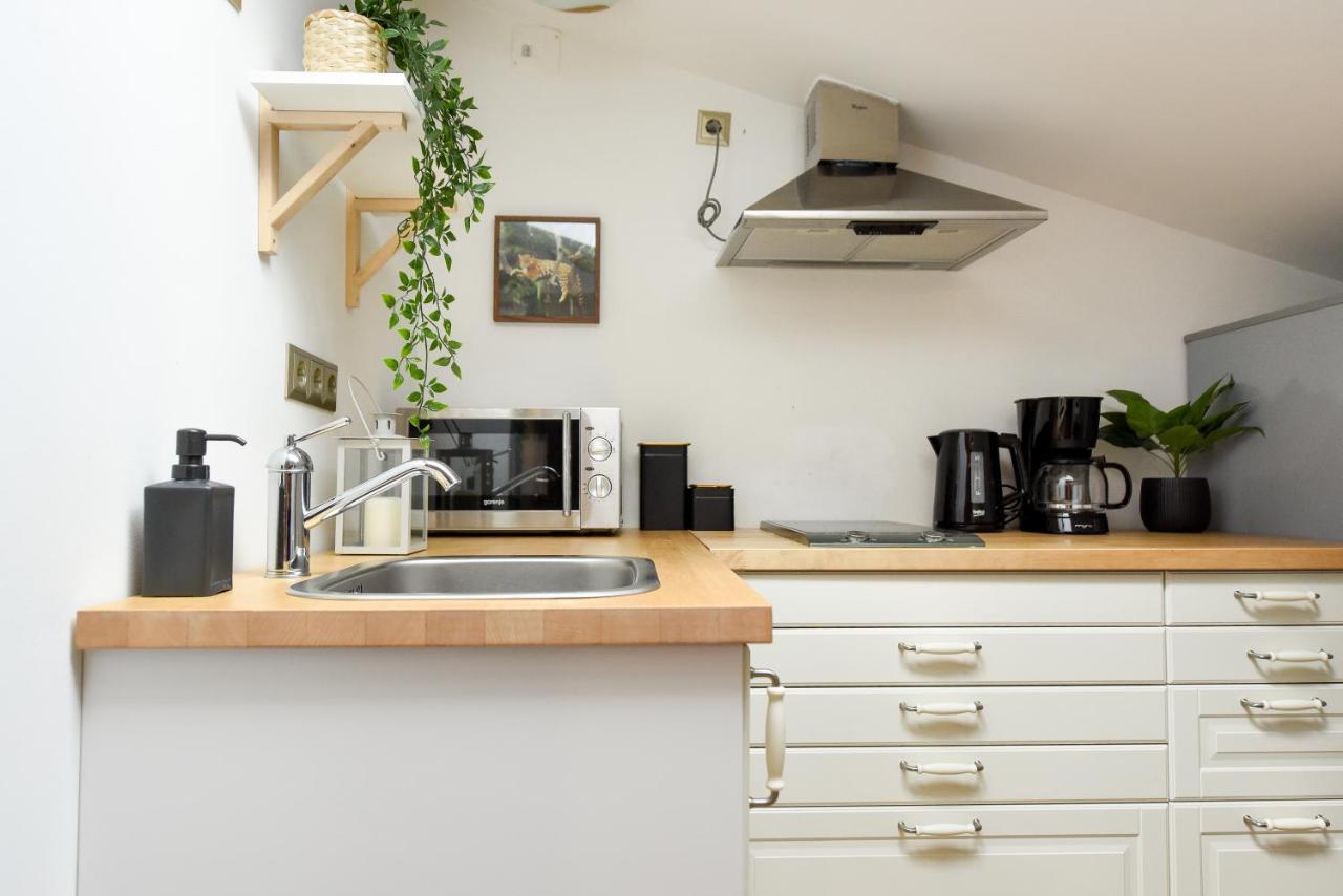 Plants Attic Studio - Best Location - Old Town Bukares Bagian luar foto